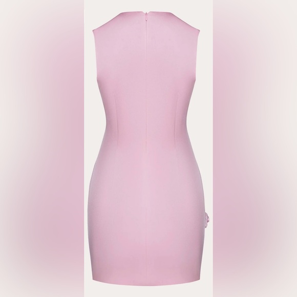 NDS The Label rose appliqué cady mini dress worn only once - Picture 4 of 4